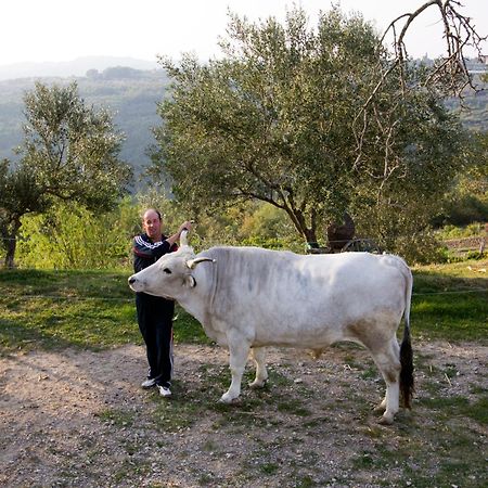 Tourist Farm Robivera Šmarje 外观 照片