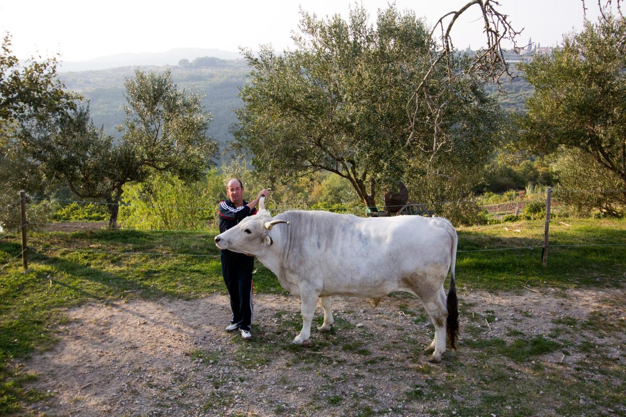 Tourist Farm Robivera Šmarje 外观 照片